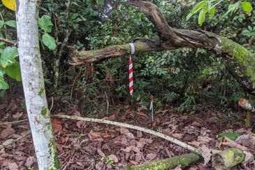 Bare Land @ Taman Mutiara Rini, Skudai