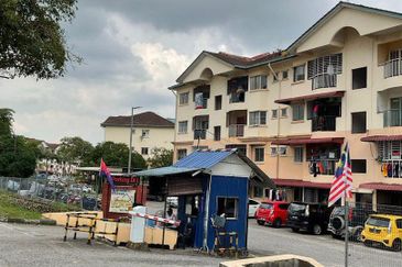 Taman Desa Kempas Apartment (corner unit)