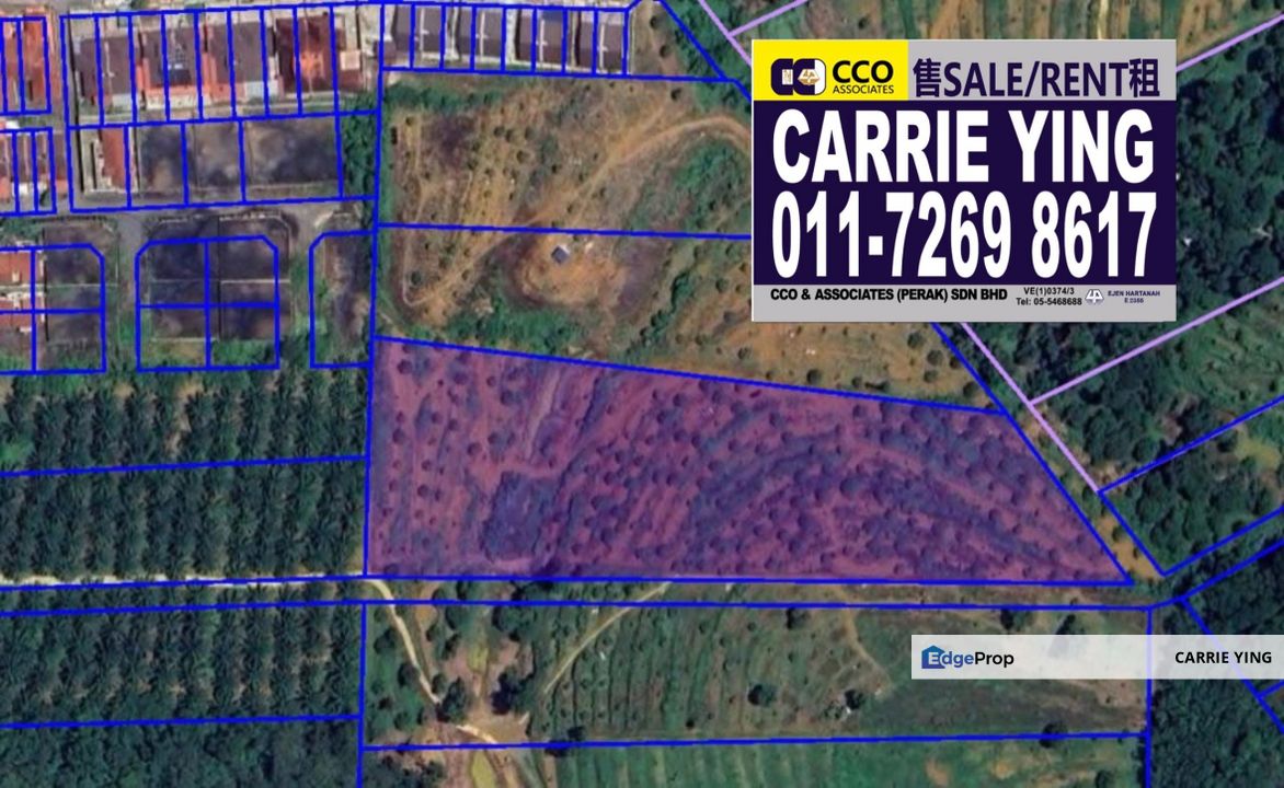 Kuala Kangsar Near Taman Liman Musang King Durian farm For Sale, Perak, Kuala Kangsar