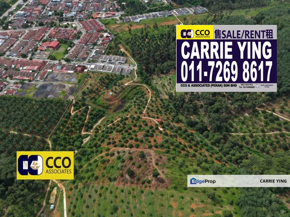 Kuala Kangsar Near Taman Liman Musang King Durian farm For Sale, Perak, Kuala Kangsar