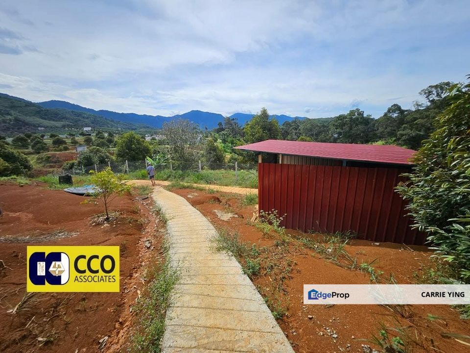 Kuala Kangsar Near Taman Liman Musang King Durian farm For Sale, Perak, Kuala Kangsar