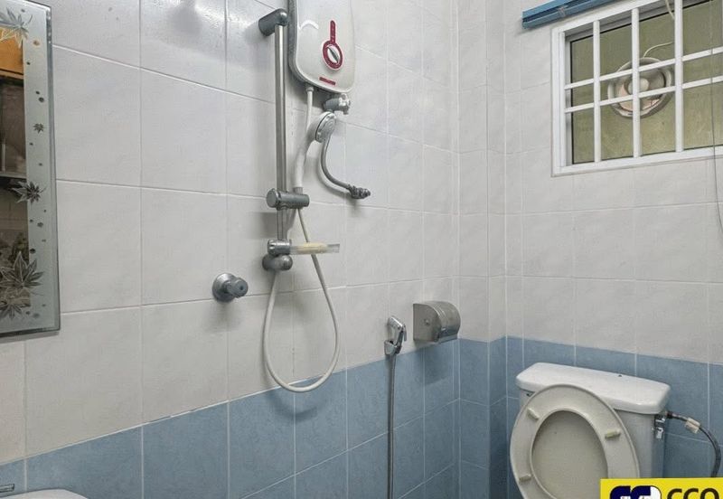 Thompson Pines Impiana Bougainvillea