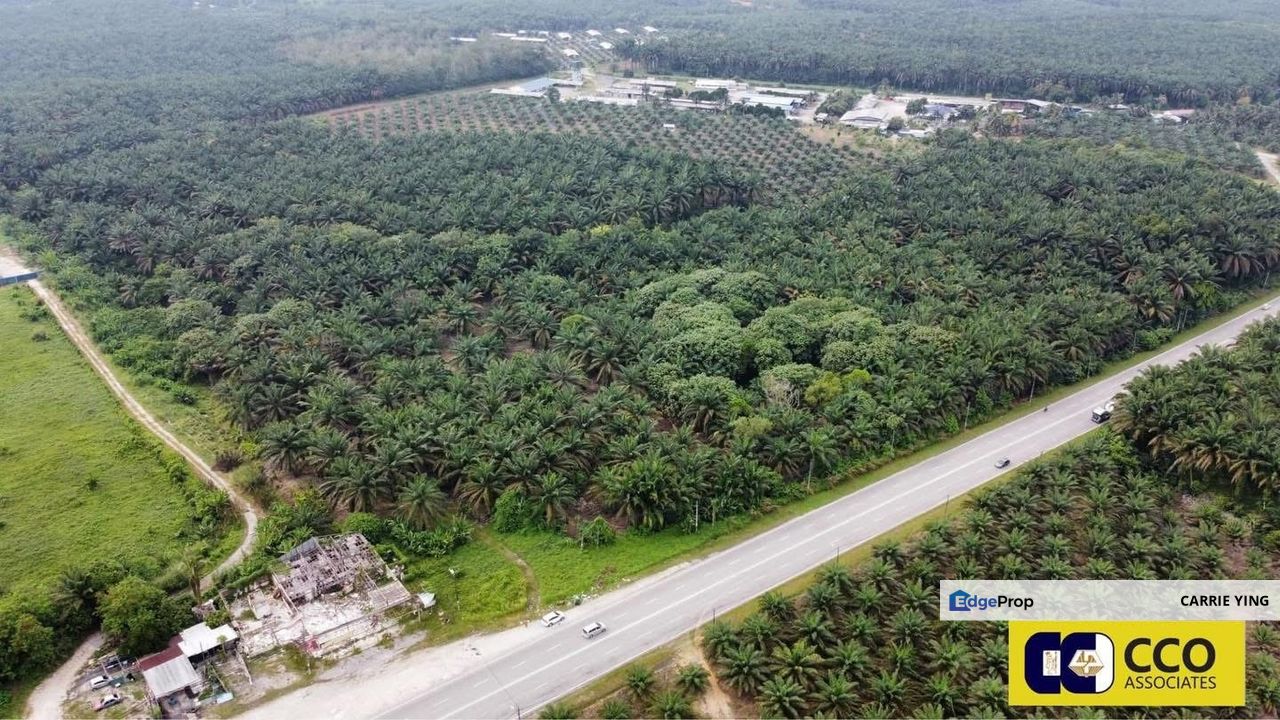 Perak Sungkai Oil Palm Land For Sale, Perak, Sungkai