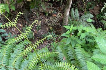 Bandar Teknologi Kajang