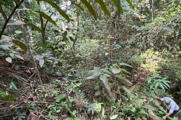 Bandar Teknologi Kajang