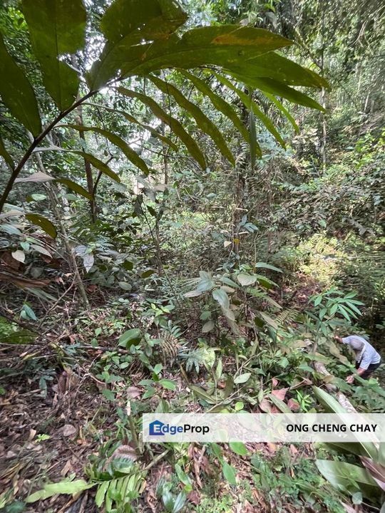 kajang bandar tek very nice loc , Selangor, Semenyih