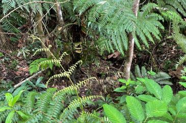 Bandar Teknologi Kajang
