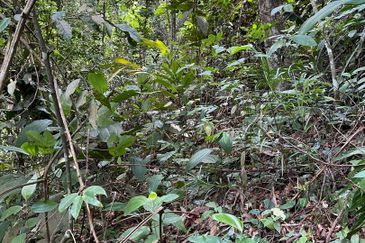 Bandar Teknologi Kajang