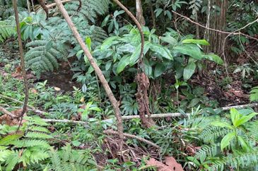 Bandar Teknologi Kajang