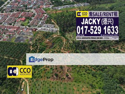 🔥 [FOR SALE] Musang King Durian Farm – Near Taman Liman, Perak, Perak, Kuala Kangsar