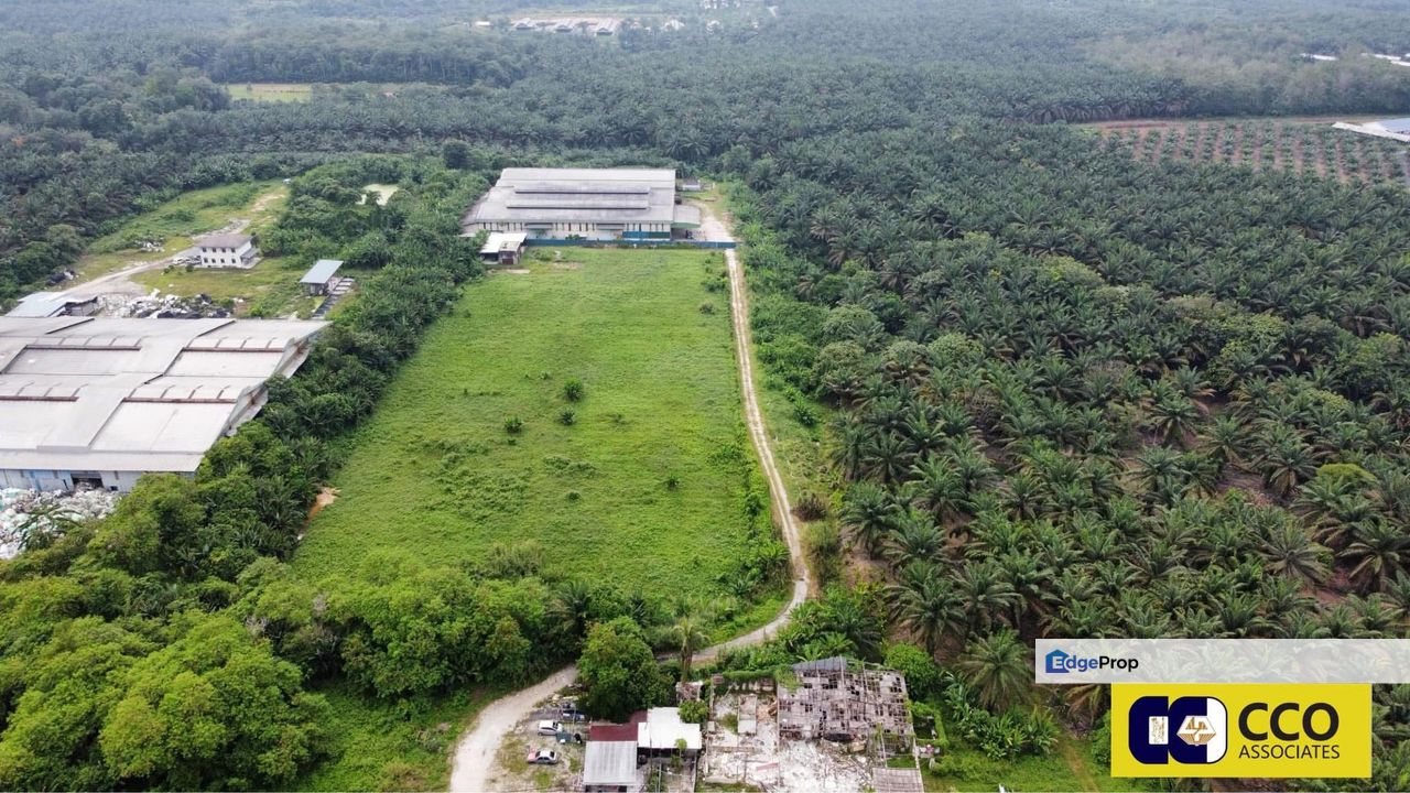 🌳Sungkai, Oil Palm Land For Sale  📍宋溪,大路边油棕园出售 ⚜️Freehold 永久地契 🛣️, Perak, Sungkai