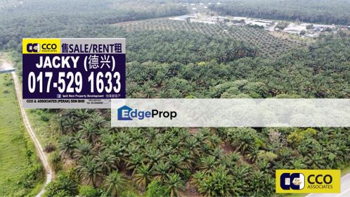 🌳Sungkai, Oil Palm Land For Sale  📍宋溪,大路边油棕园出售 ⚜️Freehold 永久地契 🛣️, Perak, Sungkai