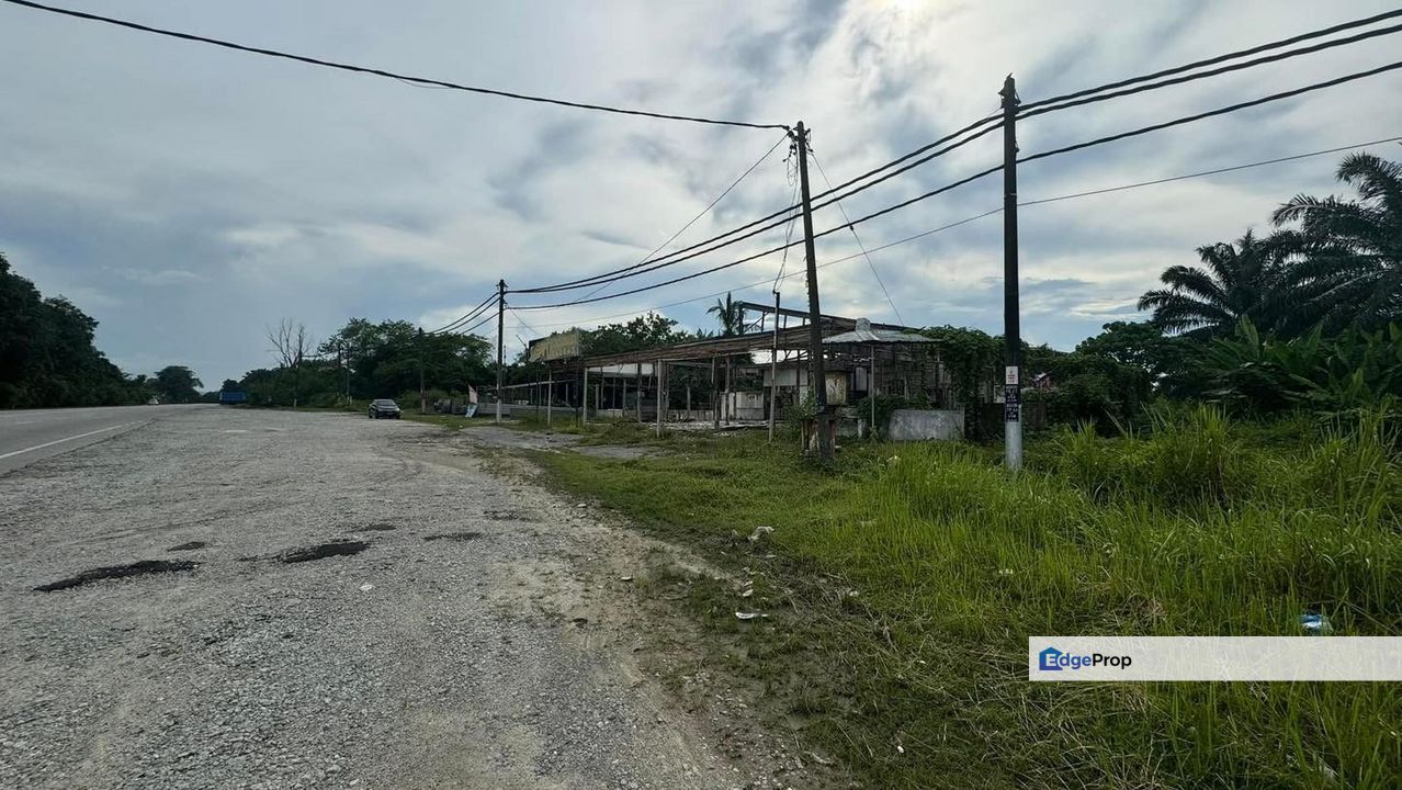 🌳Sungkai, Oil Palm Land For Sale  📍宋溪,大路边油棕园出售  #FREEHOLD, Perak, Sungkai