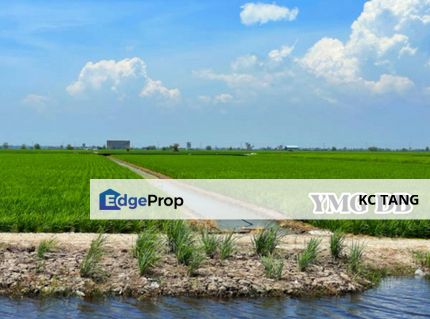  Below market value Freehold 3 Acres Agriculture land Sekinchan , Selangor, Sekinchan