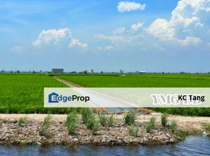  Below market value Freehold 3 Acres Agriculture land Sekinchan , Selangor, Sekinchan