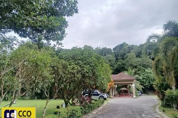 BUKIT KINDING ORCHARDS