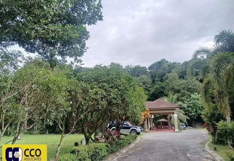 BUKIT KINDING ORCHARDS