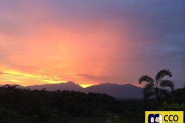 BUKIT KINDING ORCHARDS