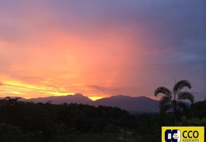 BUKIT KINDING ORCHARDS