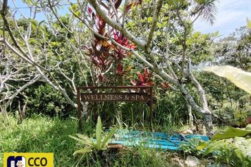 BUKIT KINDING ORCHARDS