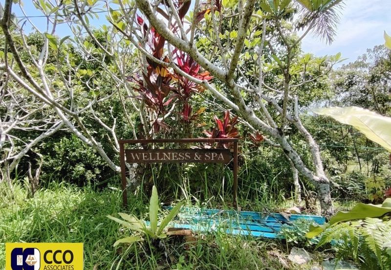 BUKIT KINDING ORCHARDS