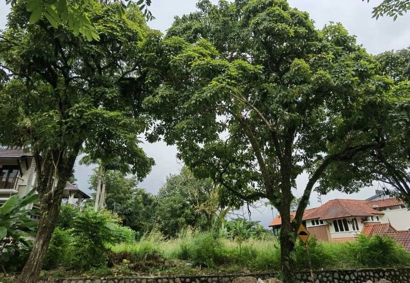 Monterez Golf & Country Club