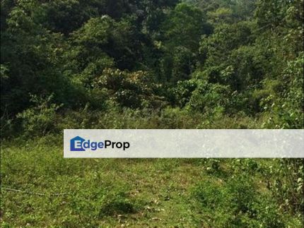 Agricultural Land 1 Acre Jalan Besar Main Road Mantin for Sale, Negeri Sembilan, Seremban