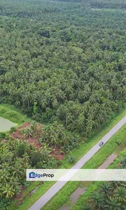 Keningau & Telupid Oil Palm Estate for Sale, Sabah, 