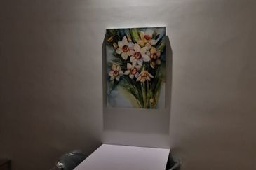 Havona Residence @ Taman Mount Austin