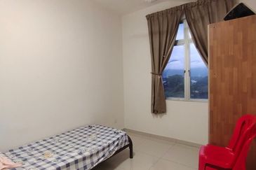 PRIMA @ KAMPUNG PALOH