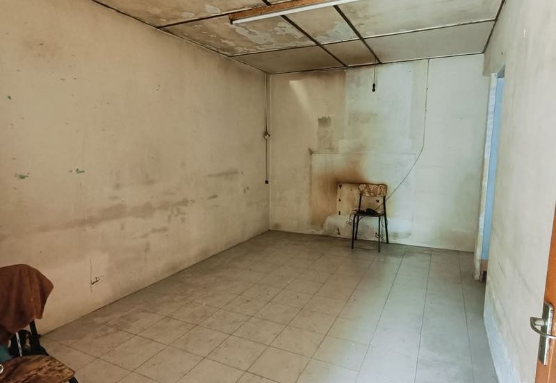 TAMAN HIJAU, BATU GAJAH