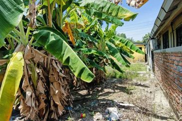 Batu Gajah Single Storey Semi Detached House For Sale Perak 