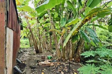 Batu Gajah Kampung Serani Bungalow Land For Sale Perak