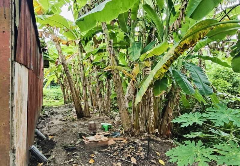 Batu Gajah Kampung Serani Bungalow Land For Sale Perak