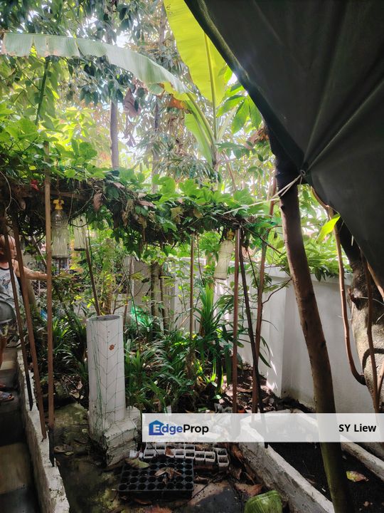 Corner Double Storey Ipoh Garden , Perak, Ipoh