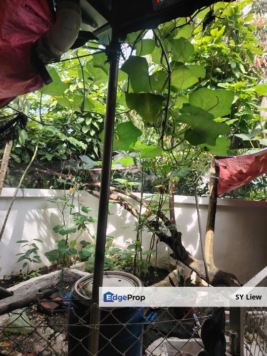 Corner Double Storey Ipoh Garden , Perak, Ipoh