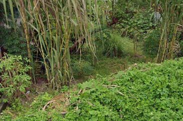 TAMAN MENGLEMBU TIMUR