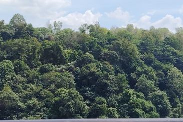 Perdana Exclusive Condominium