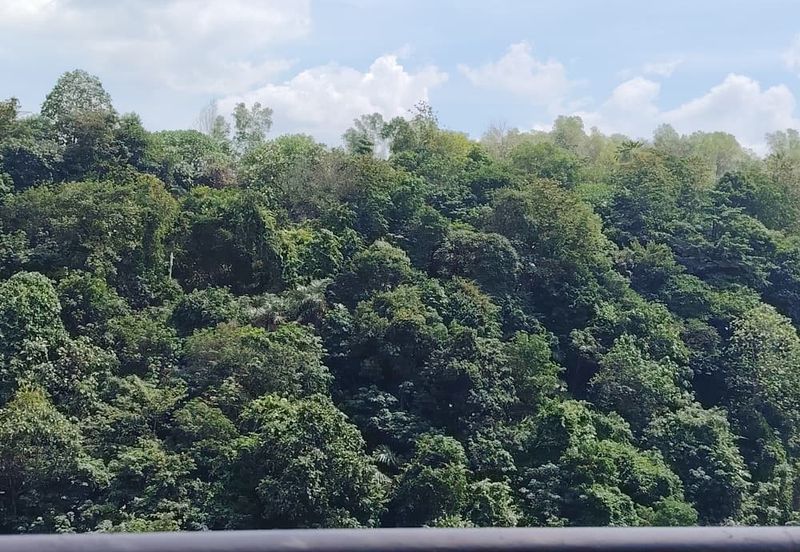 Perdana Exclusive Condominium