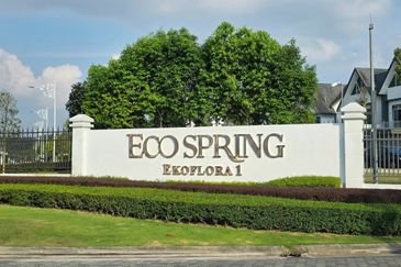 Eco Spring