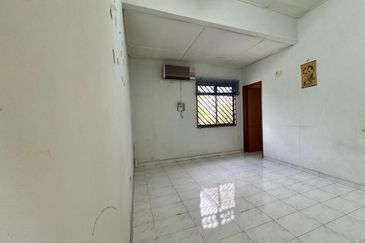 Stulang Laut / Darat