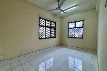 Stulang Laut / Darat