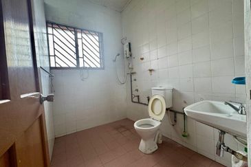 Stulang Laut / Darat