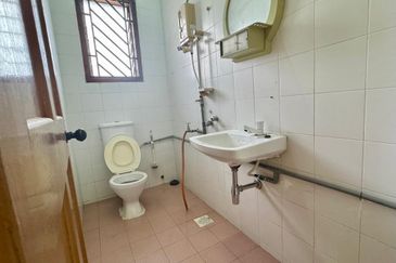 Stulang Laut / Darat