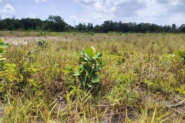 Iskandar Puteri Tanjung Kupang Industry Land for SALE 