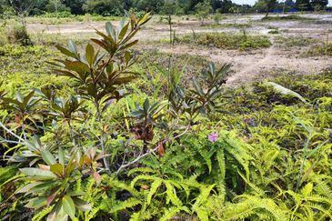 Iskandar Puteri Tanjung Kupang Industry Land for SALE 