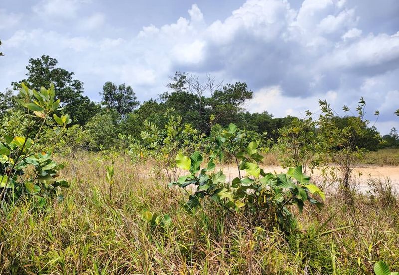 Batu Pahat Industry Land for Sale