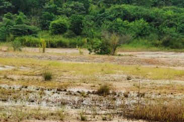 Mutiara Emas @ Taman Mount Austin