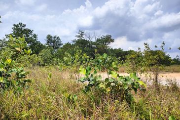 Taman Perindustrian Desa Plentong