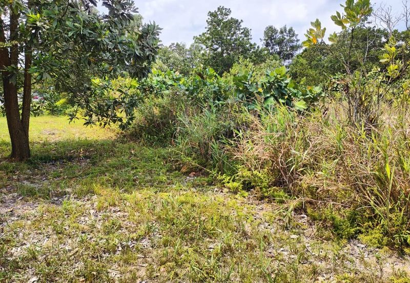 Taman Perindustrian Desa Plentong